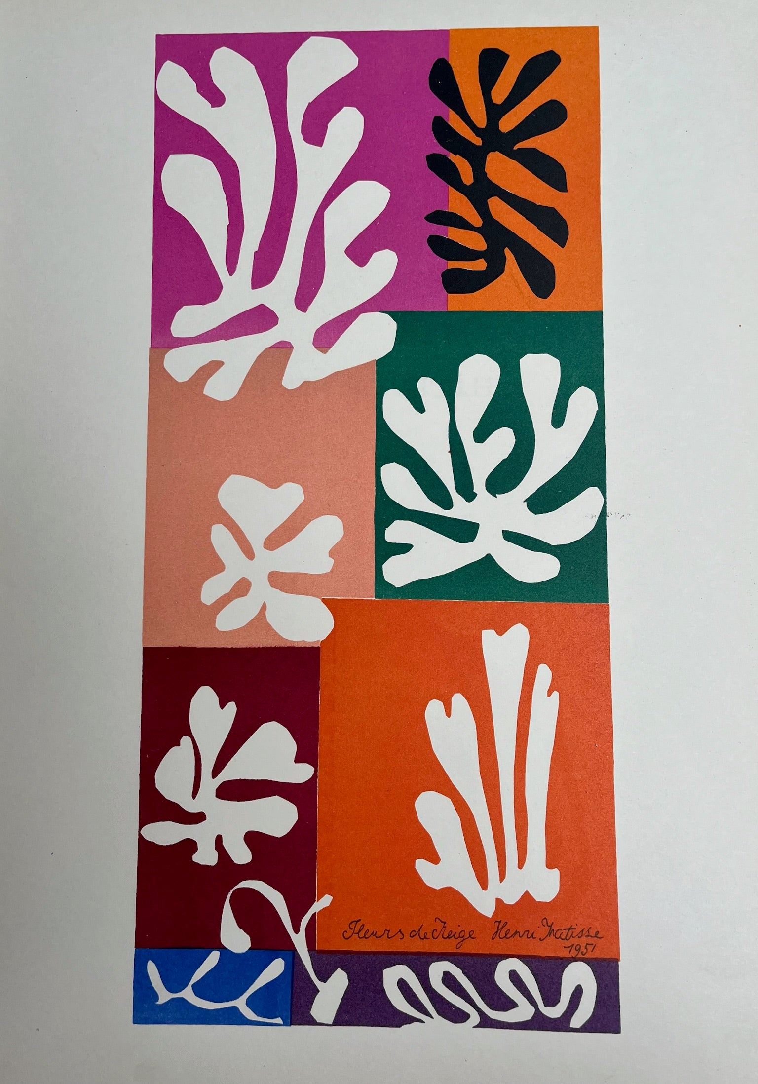 Henri Matisse 'Fleurs de Neige' or 'Snow Flowers'
